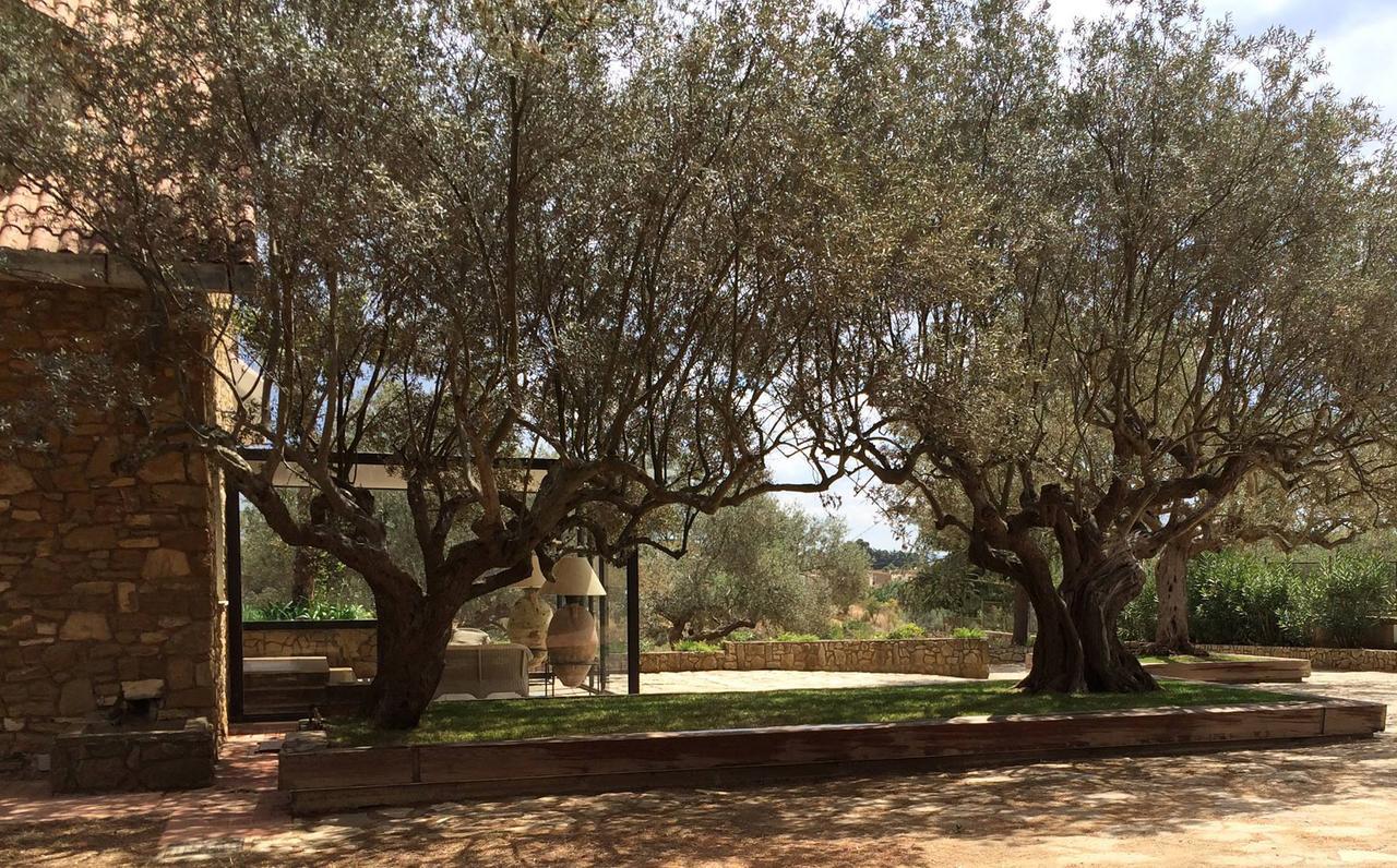 B&B La Collegiata Caltagirone Zewnętrze zdjęcie