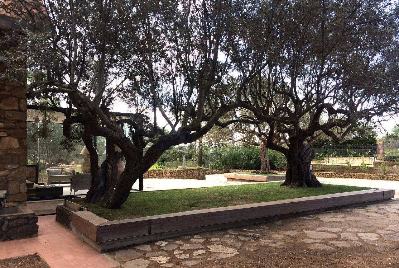 B&B La Collegiata Caltagirone Zewnętrze zdjęcie